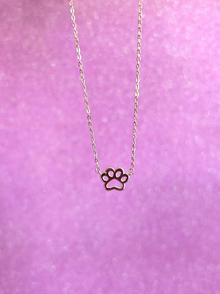Collar Pet lover